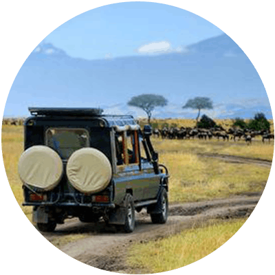 Sub header Negara Royal Travellers 5 africa